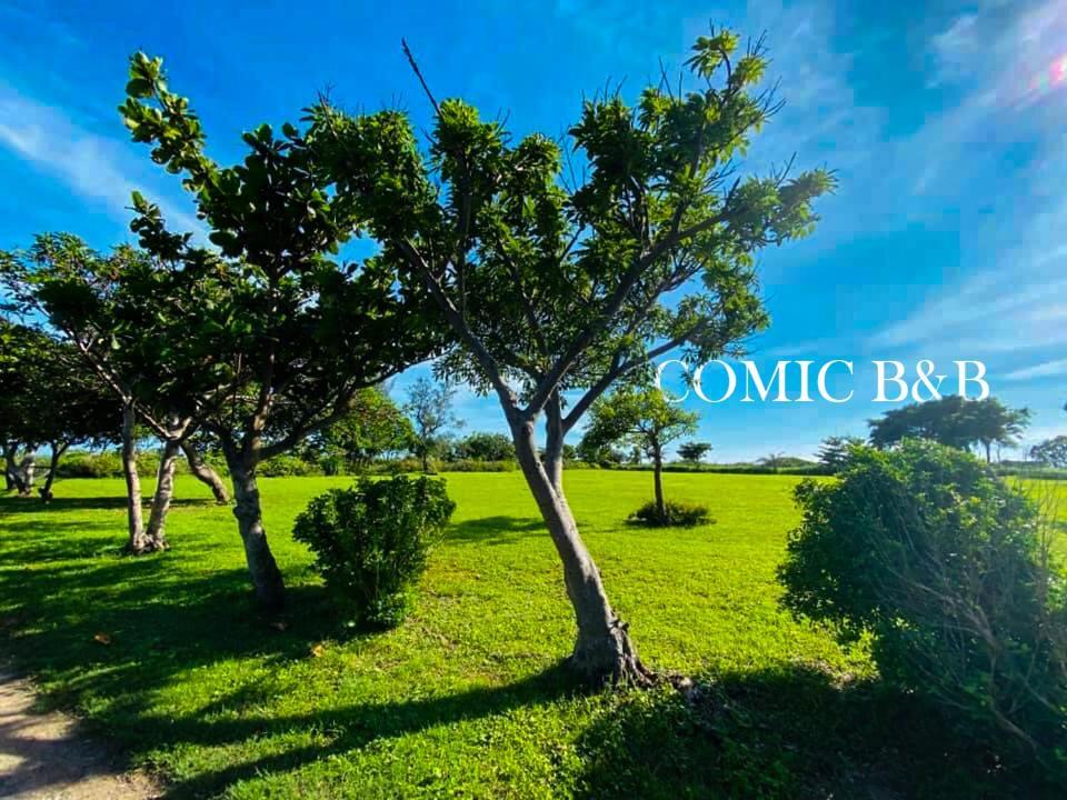 העיר העתיקה הנגצ'ון Kenting Comic B&B&Spring מראה חיצוני תמונה